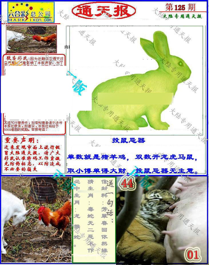 六合彩125期大陆通天报