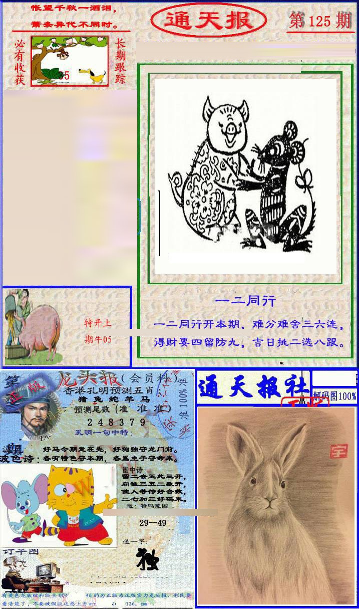 六合彩125期实力通天报