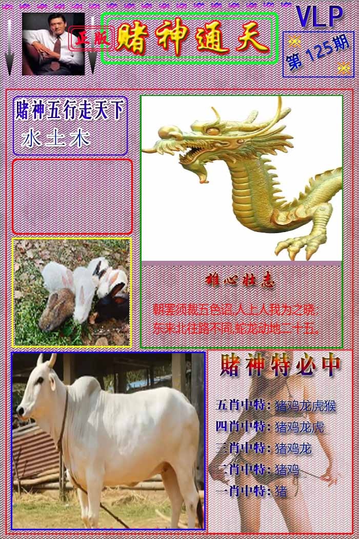 六合彩125期赌神通天报