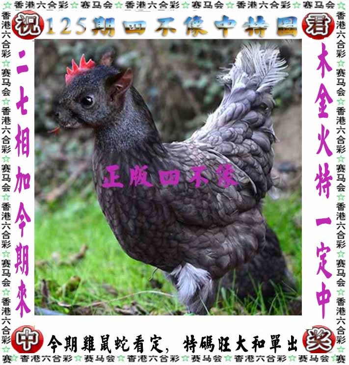 六合彩125期正版四不像