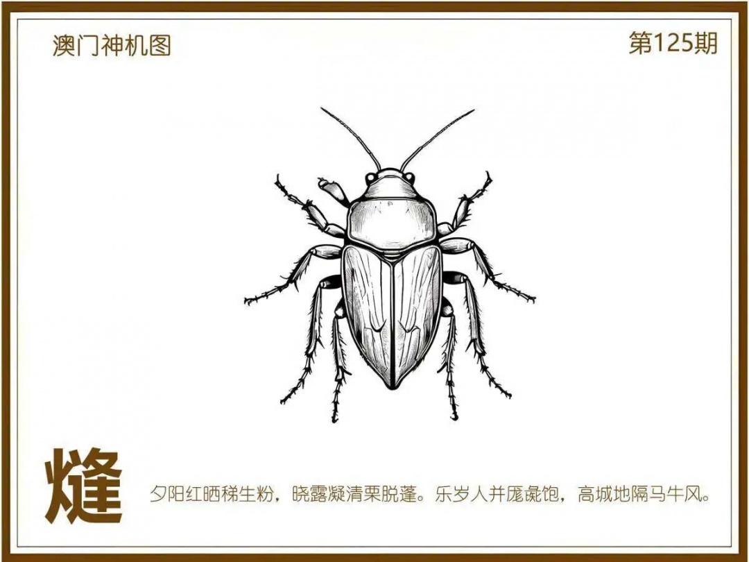 六合彩125期澳门神机图