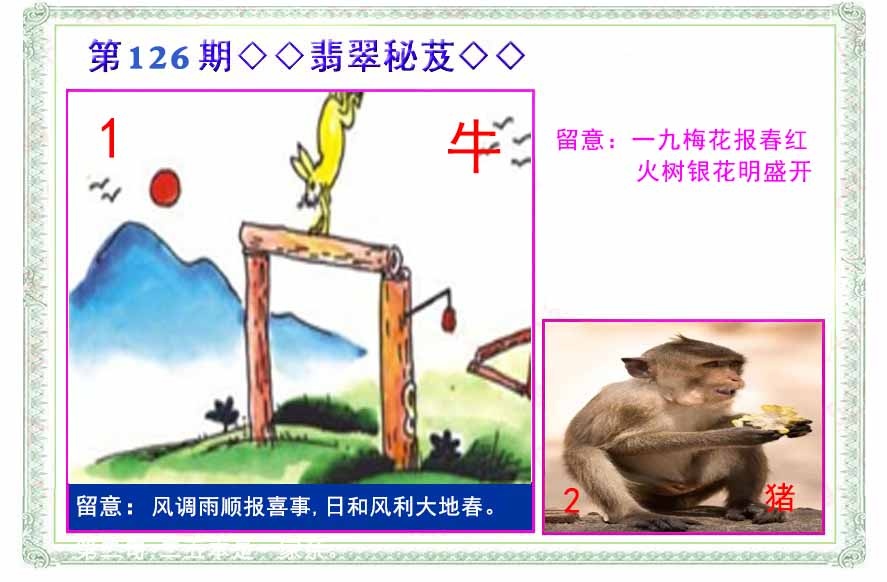 六合彩126期翡翠报