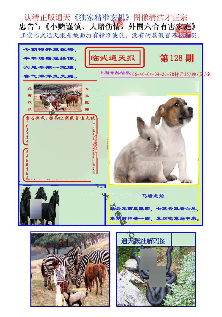 六合彩128期临武通天报