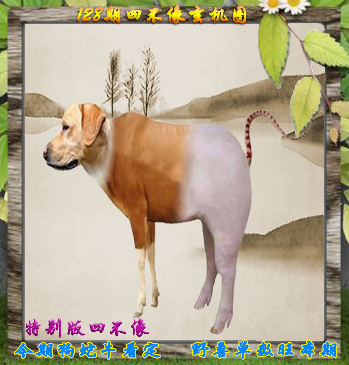 六合彩128期四不像特别版