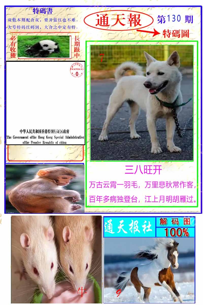 六合彩130期通天特解图