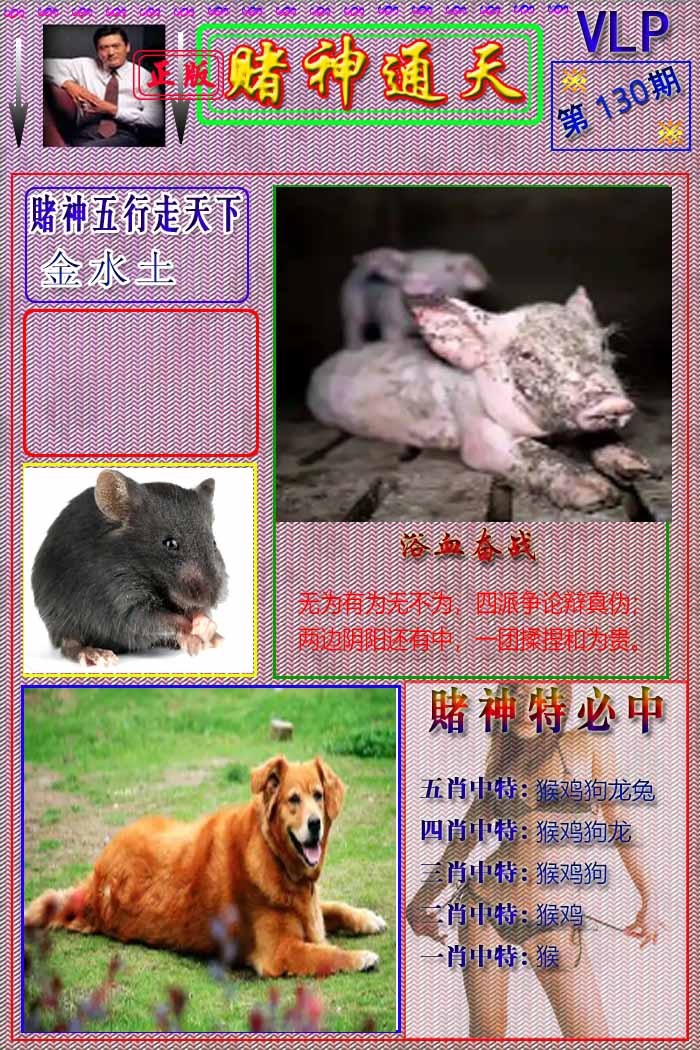 六合彩130期赌神通天报