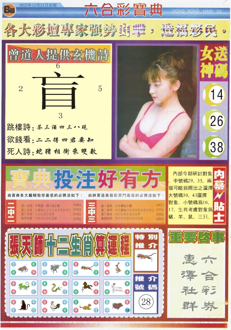 六合彩132期六合宝典B