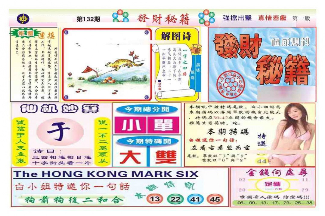 六合彩132期发财秘籍A（新图）