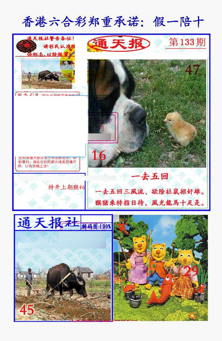 六合彩133期假一陪十通天报