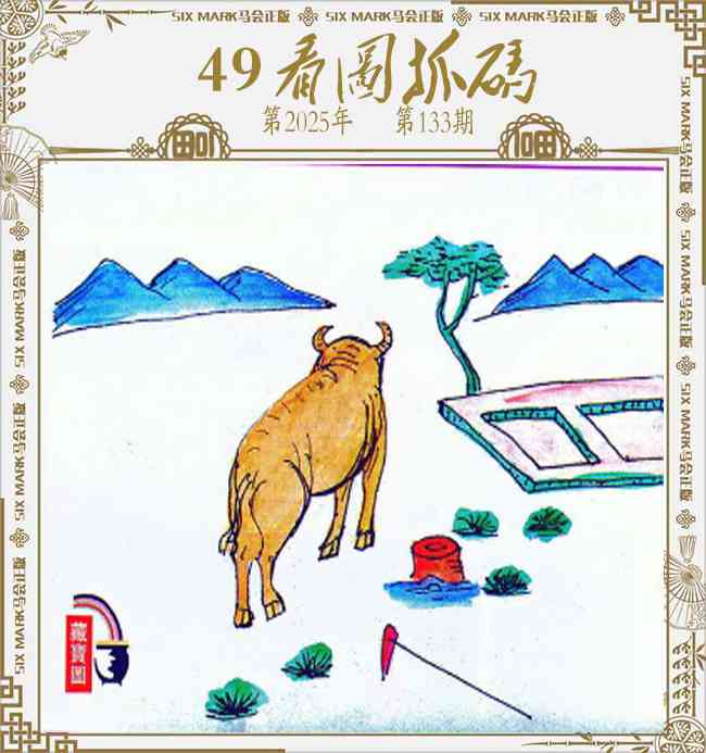 六合彩133期49看图抓码
