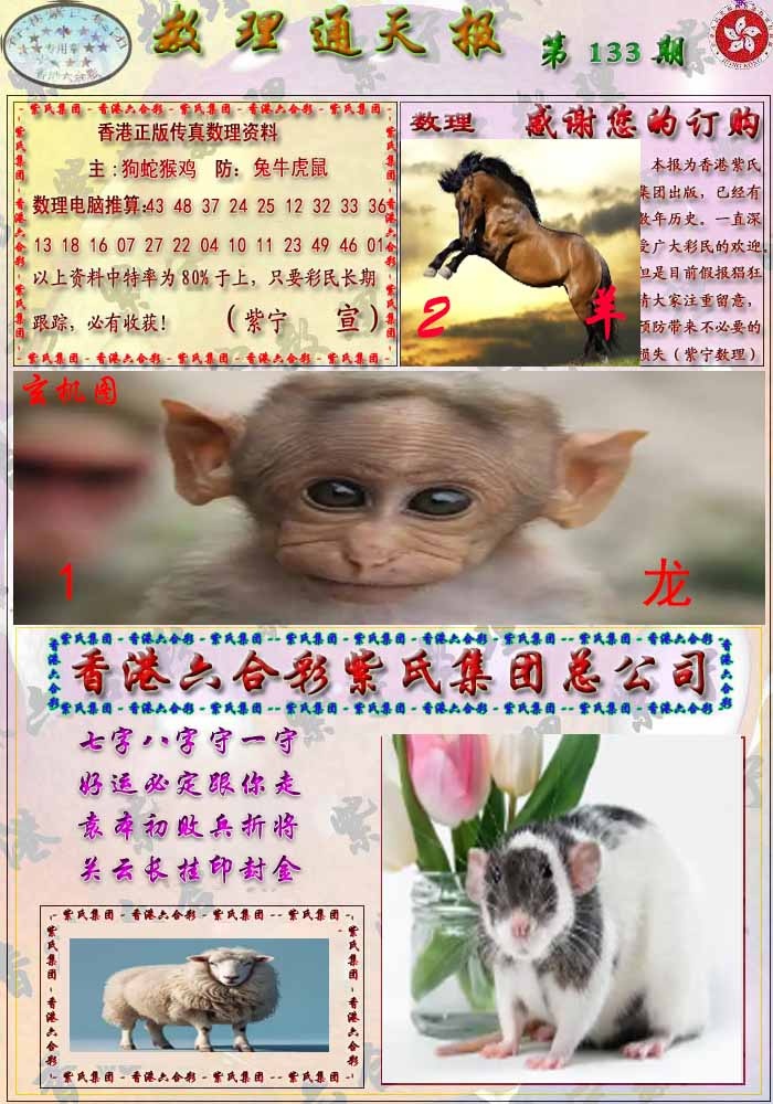 六合彩133期数通报