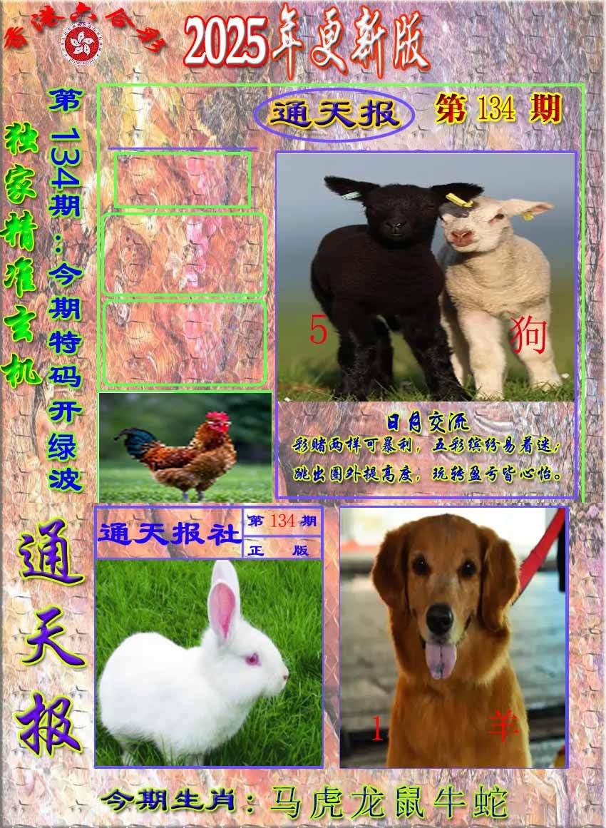 六合彩134期新通报