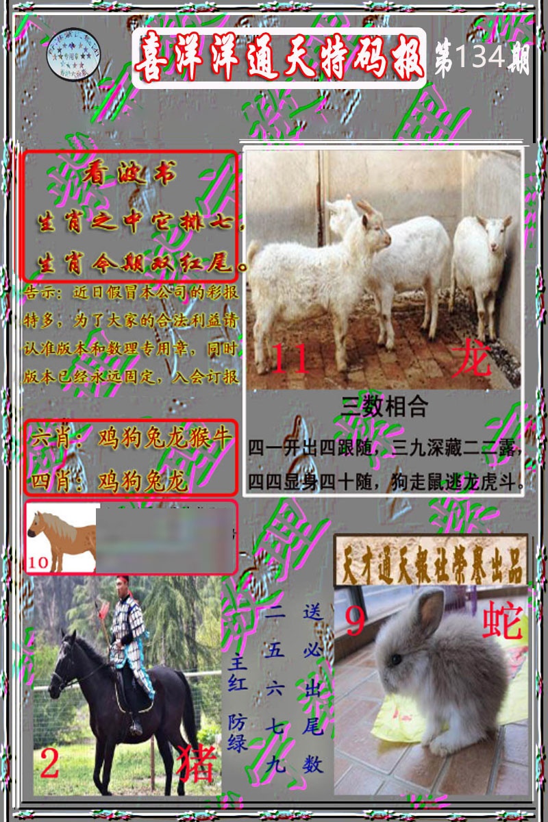六合彩134期洋通报
