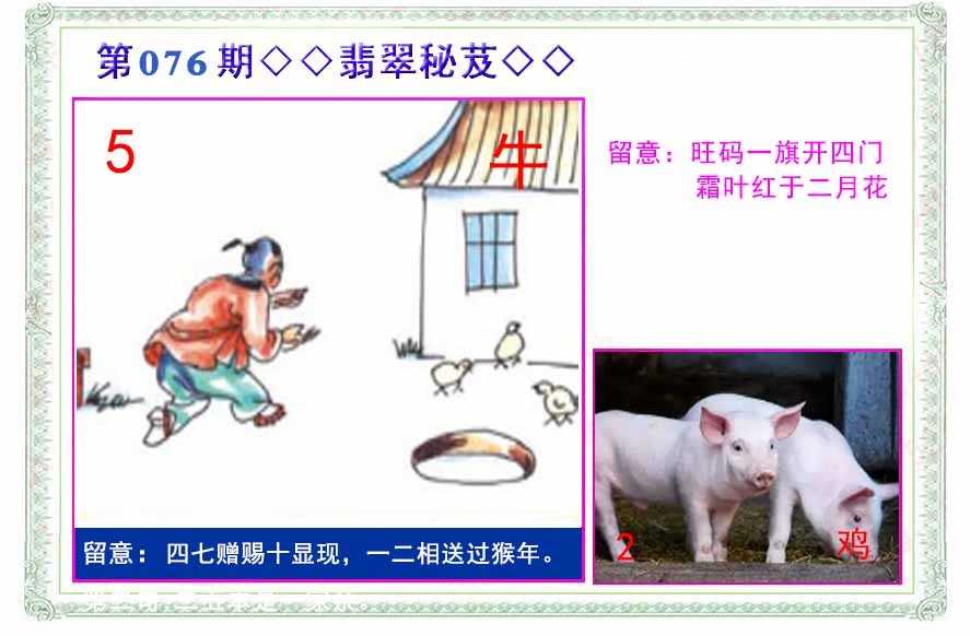 六合彩076期翡翠报