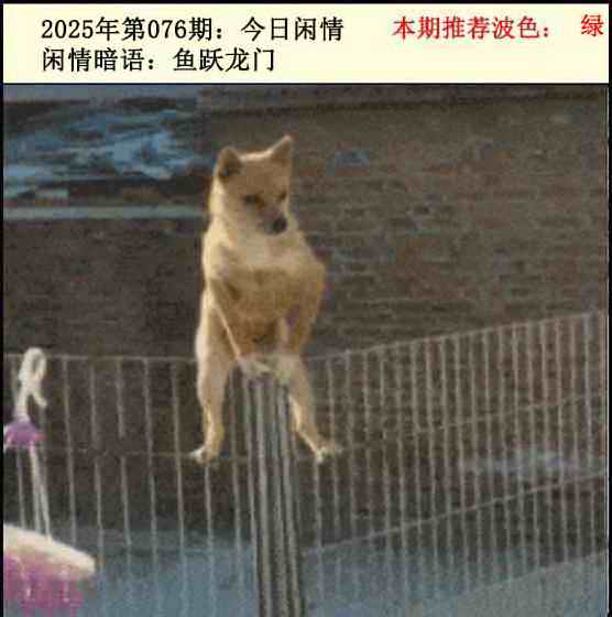六合彩076期今日闲情2