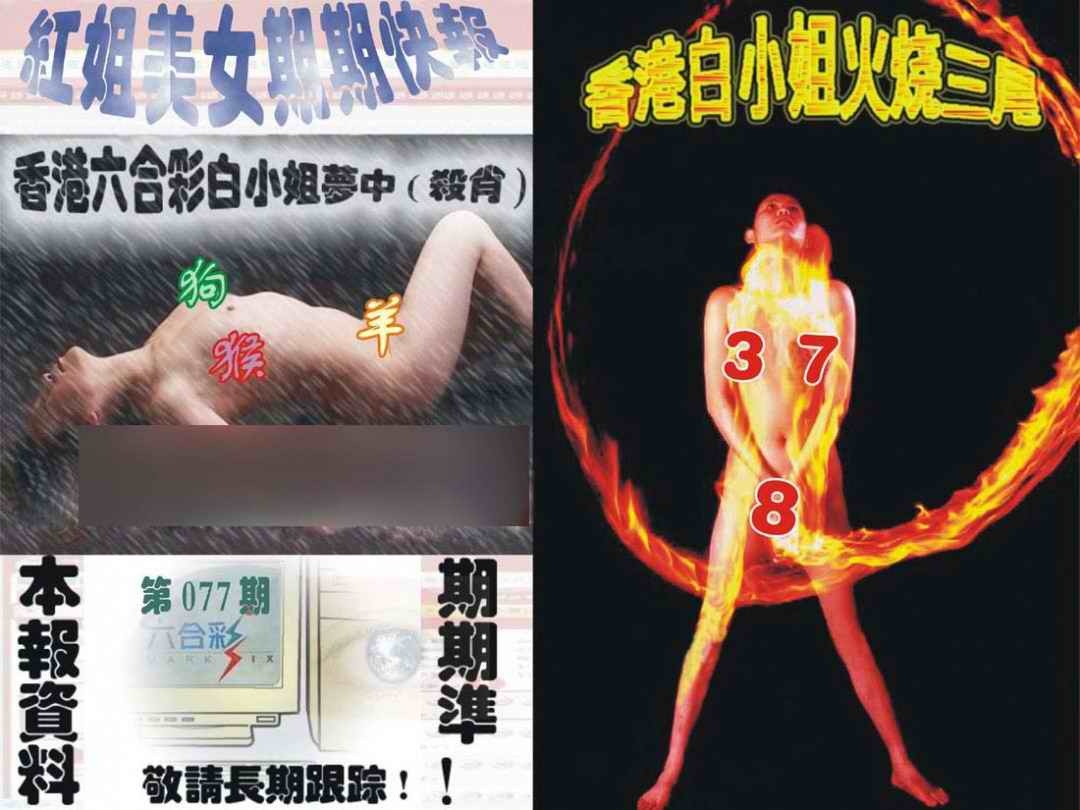 六合彩077期环球美女特码报