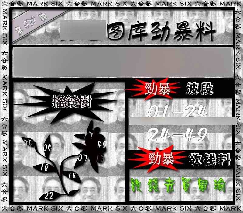 六合彩078期劲暴来料{正版}
