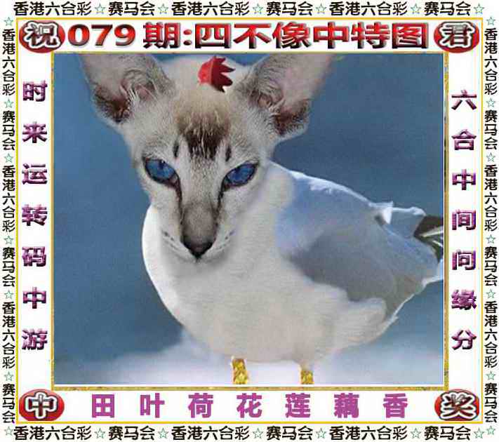 六合彩079期四不像中特图