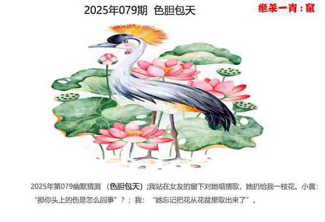 六合彩079期幽默猜测