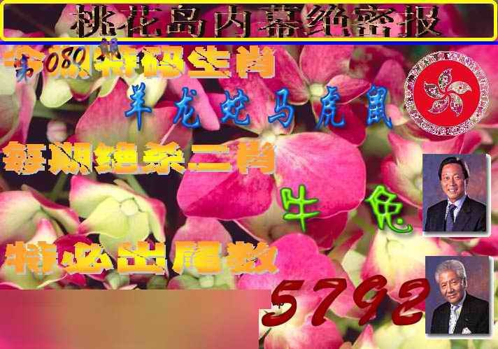 六合彩080期桃花岛内幕报
