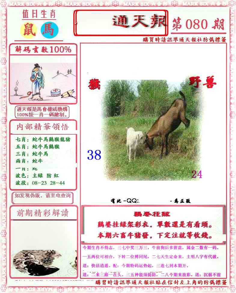 六合彩080期马经通天报(另版)