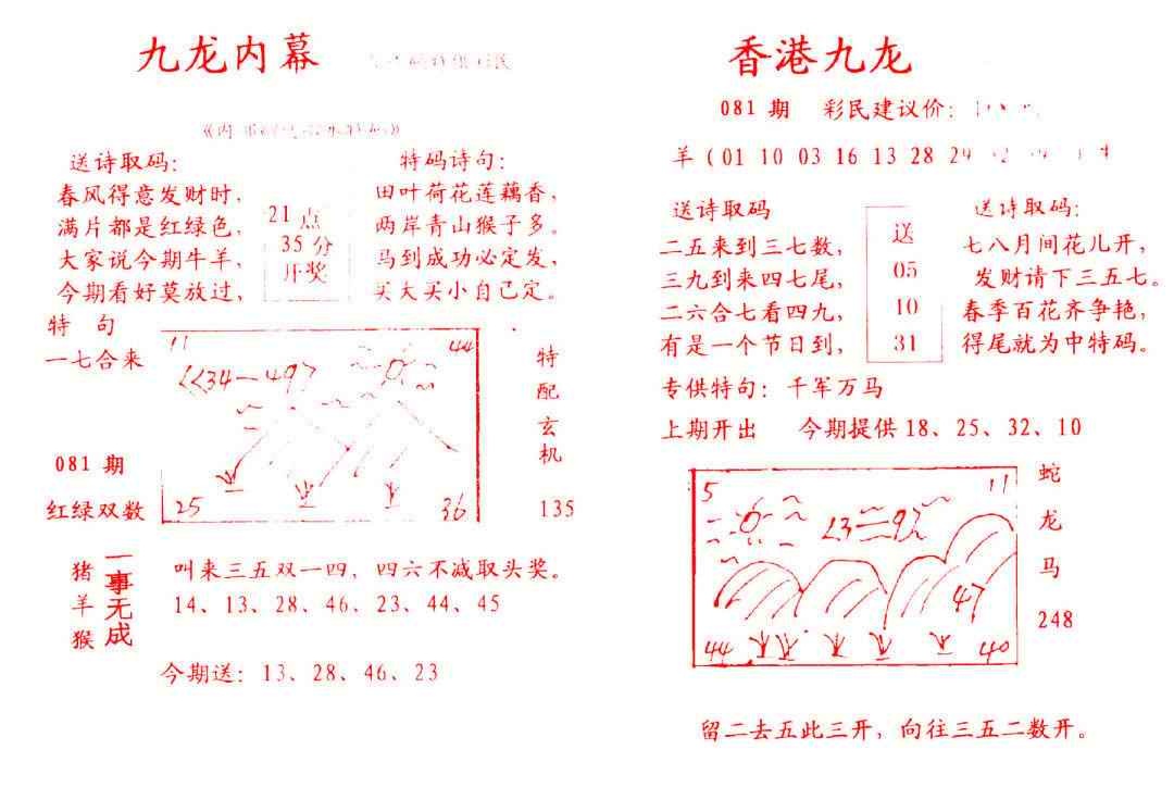 六合彩081期九龙内幕