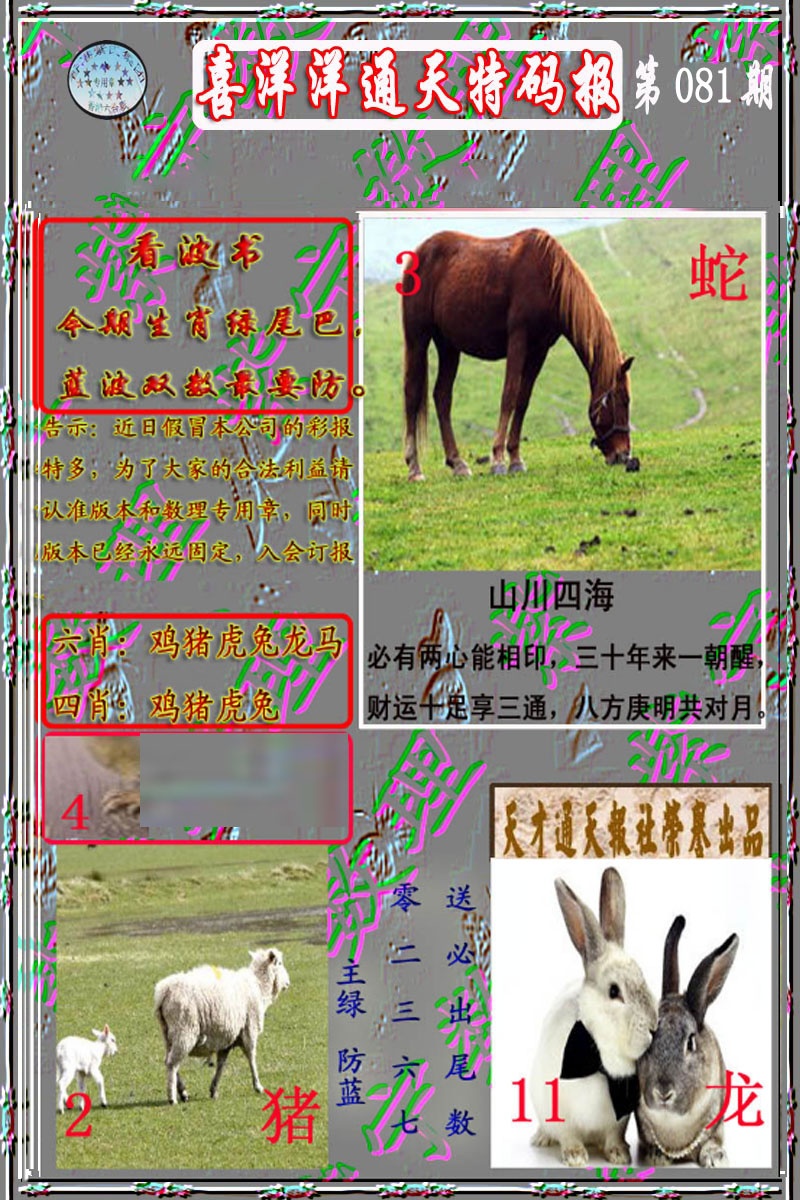 六合彩081期洋通报