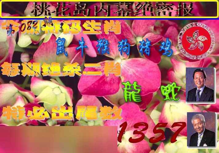 六合彩082期桃花岛内幕报