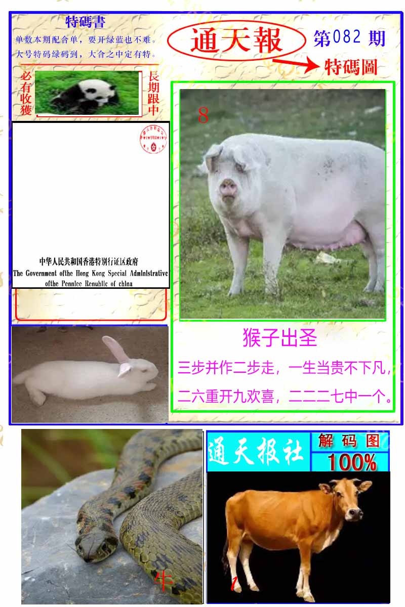 六合彩082期通天特解图