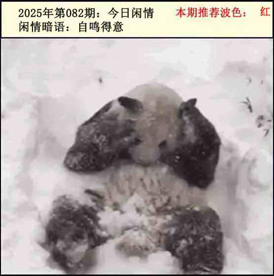 六合彩082期今日闲情2