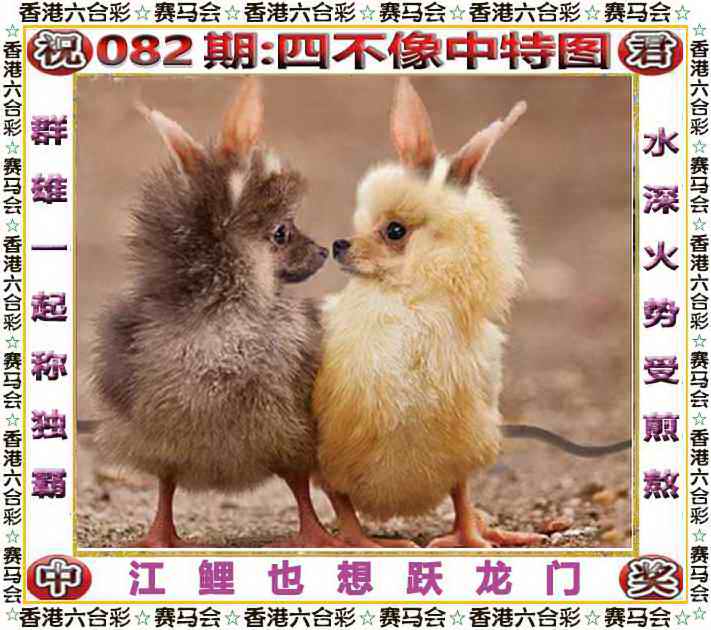 六合彩082期四不像中特图