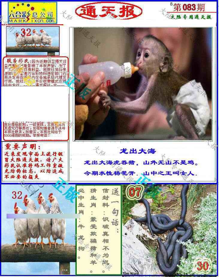 六合彩083期大陆通天报