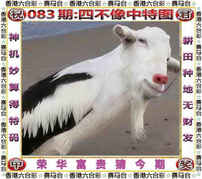 六合彩083期四不像中特图