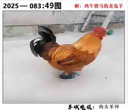 六合彩083期49图