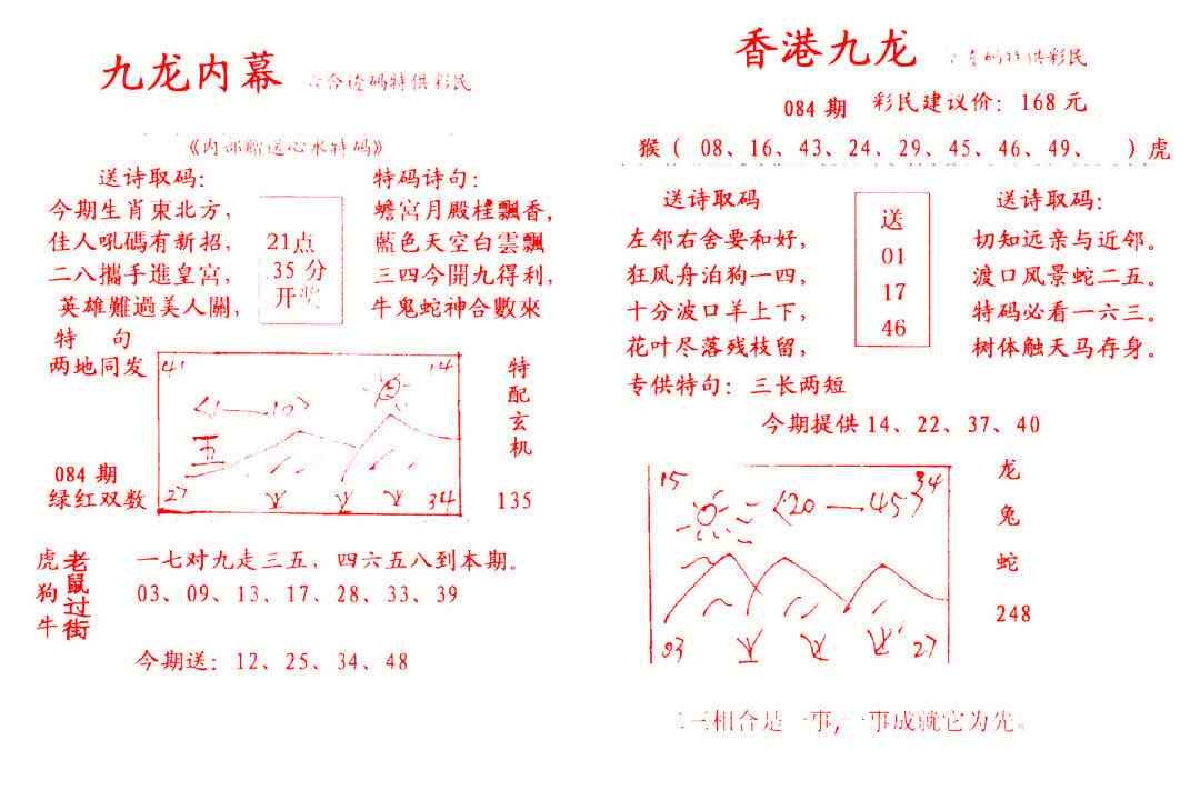 六合彩084期九龙内幕