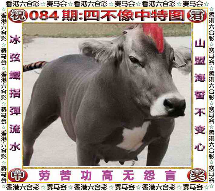六合彩084期四不像中特图