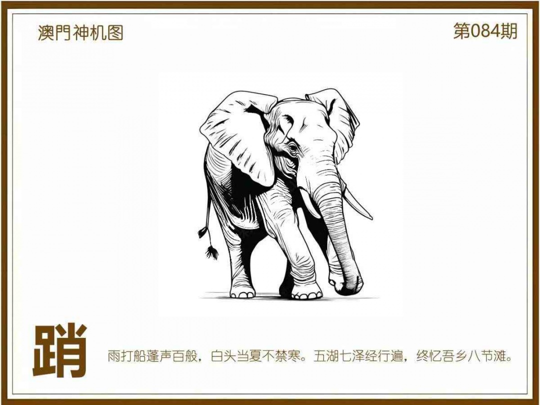 六合彩084期澳门神机图