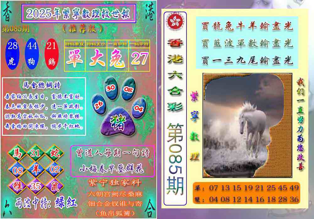 六合彩085期数理救世报