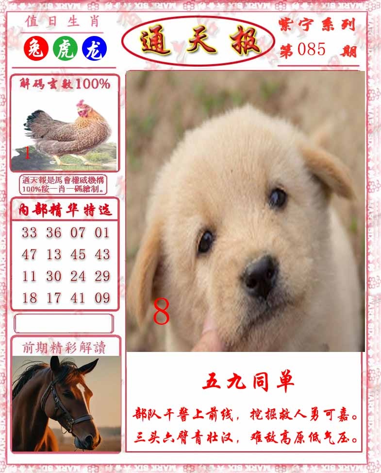 六合彩085期救通报