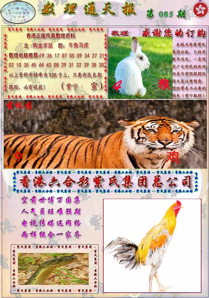 六合彩085期数通报