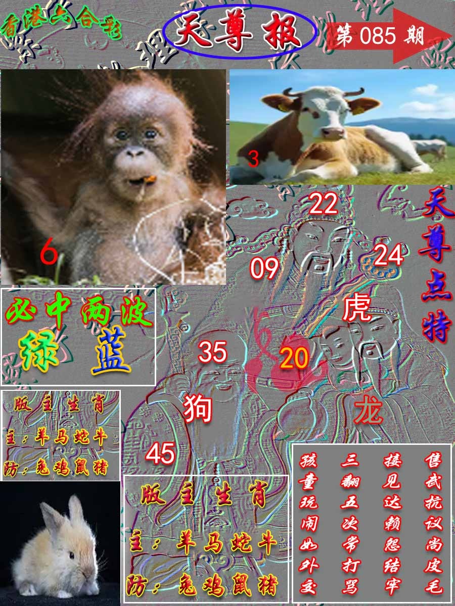 六合彩085期天尊报