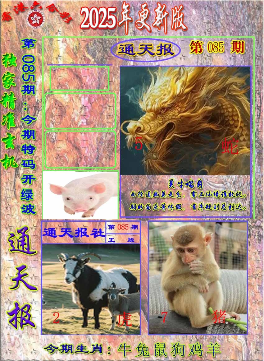 六合彩085期新通报