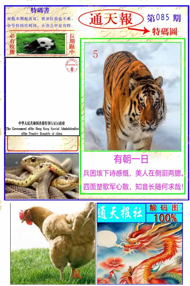 六合彩085期通天特解图