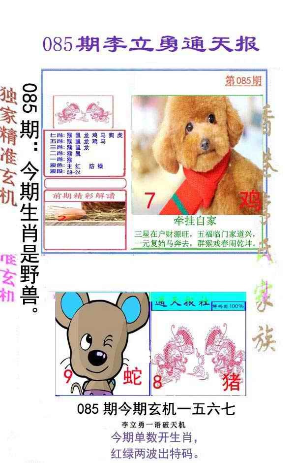 六合彩085期李立勇通天报