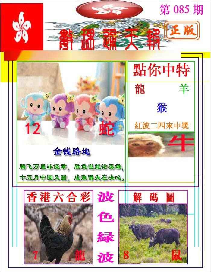 六合彩085期数理通天