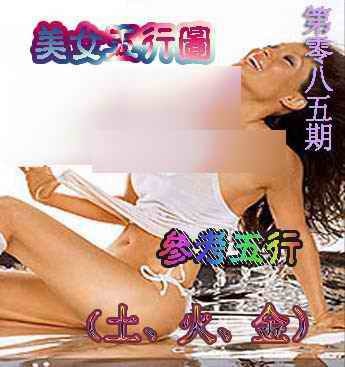 六合彩085期美女五行图
