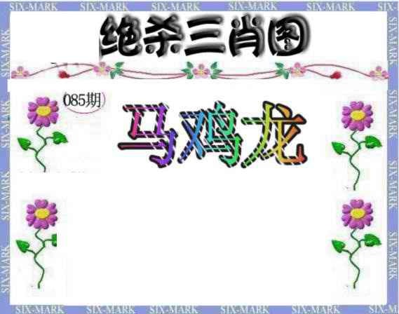 六合彩085期生财有道杀三肖