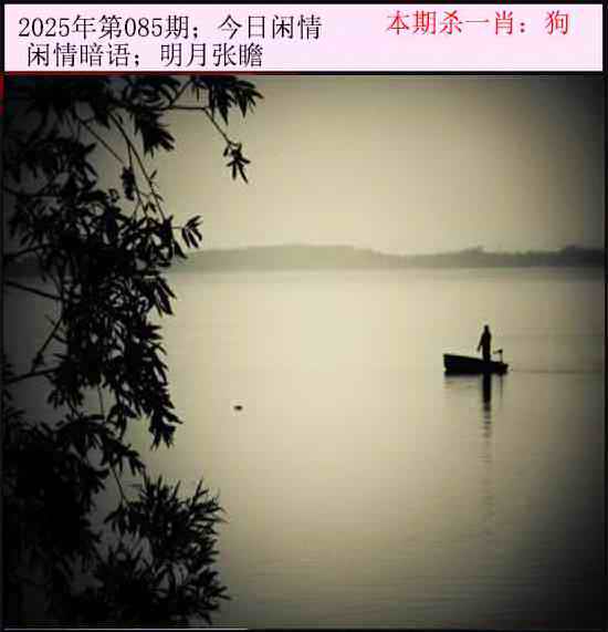 六合彩085期今日闲情