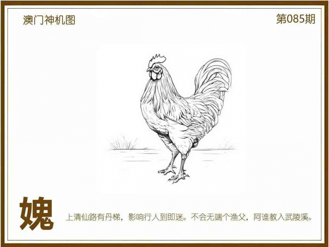 六合彩085期澳门神机图