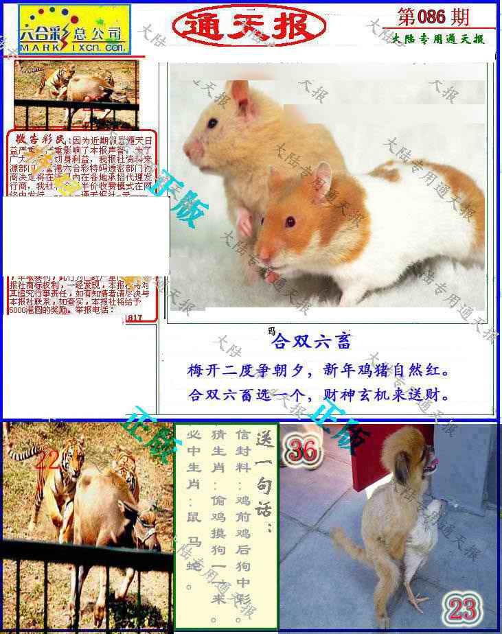 六合彩086期大陆通天报